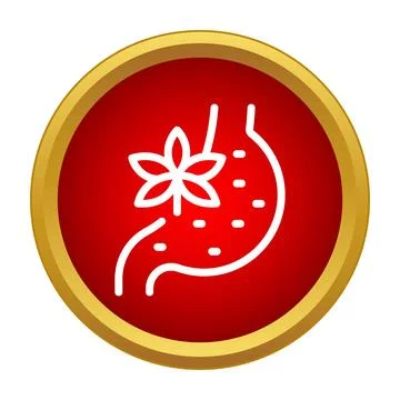 Stomach and herb icon representing natural digestion relief Stock Illustration
