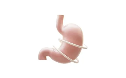 Stomach and nutrient absorption, 3d rendering. Illustrazione stock