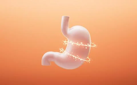 Stomach and nutrient absorption, 3d rendering. Illustrazione stock