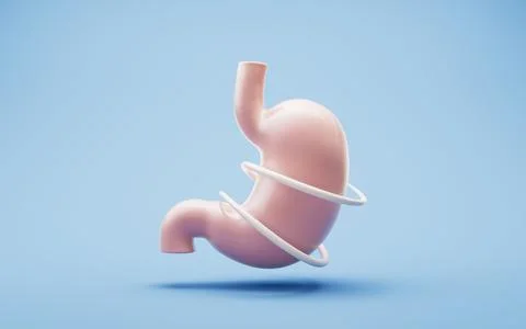 Stomach and nutrient absorption, 3d rendering. Illustrazione stock