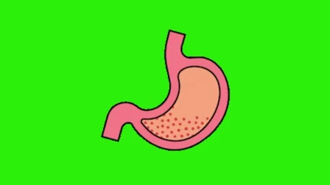 Stomach animation on green background Vídeos de archivo 330038007
