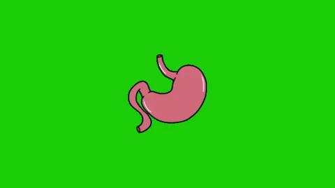 Stomach animation on green background 库存影片 334116894