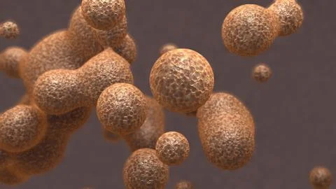 Stomach Cells Model Stock Illustration