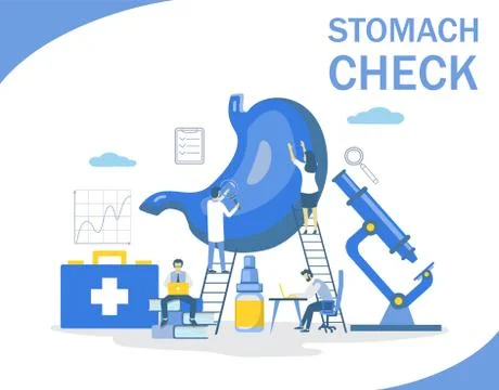 Stomach check, vector flat style design illustration Stock Illustration