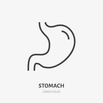 Stomach flat line icon. Vector thin pictogram of human internal organ, outline Illustrazione stock