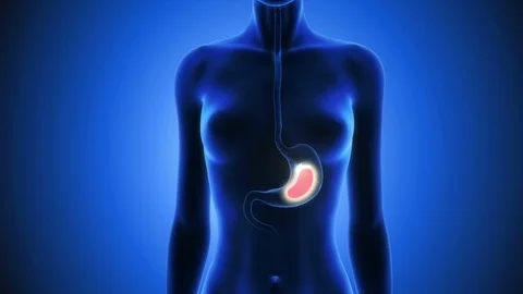 Stomach Stock Footage 115336358