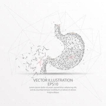 Stomach form polygonal low poly wire frame on black background. Stock Illustration
