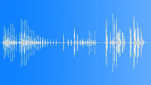 Stomach growling 05 ~ Sound Clip Royalty Free #270351285