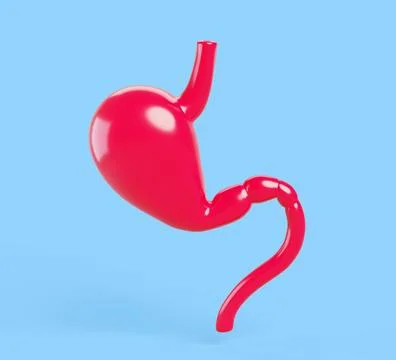 Stomach healthy human 3d render icon. Anatomy red muscle organ, part of Illustrazione stock