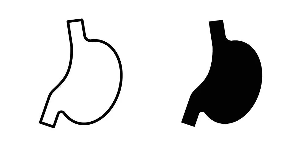 Stomach icon for design projects and web UI Stock Illustration