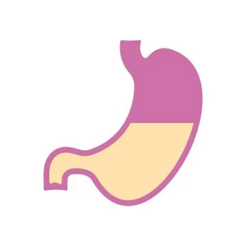 Stomach icon. flat design Stock Illustration