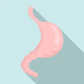 Stomach icon, flat style Stock Illustration