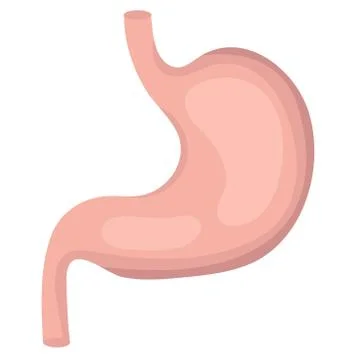 Stomach icon, flat style. Internal organs of the human design element, logo Stock Illustration
