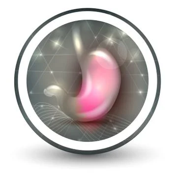 Stomach icon Stock Illustration