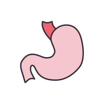 Stomach icon. Stock Illustration