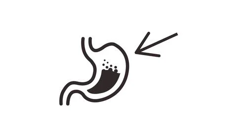 Stomach Icon. Illustrazione stock