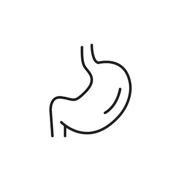 Stomach Icon Stock Illustration