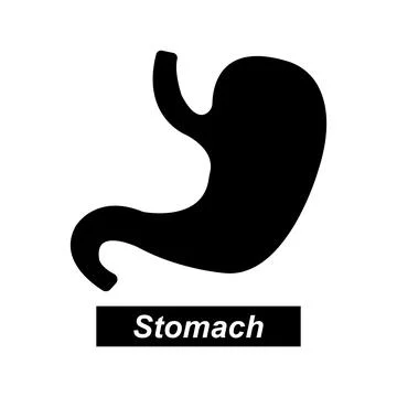Stomach icon Stock Illustration