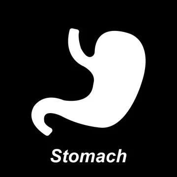 Stomach icon Illustrazione stock