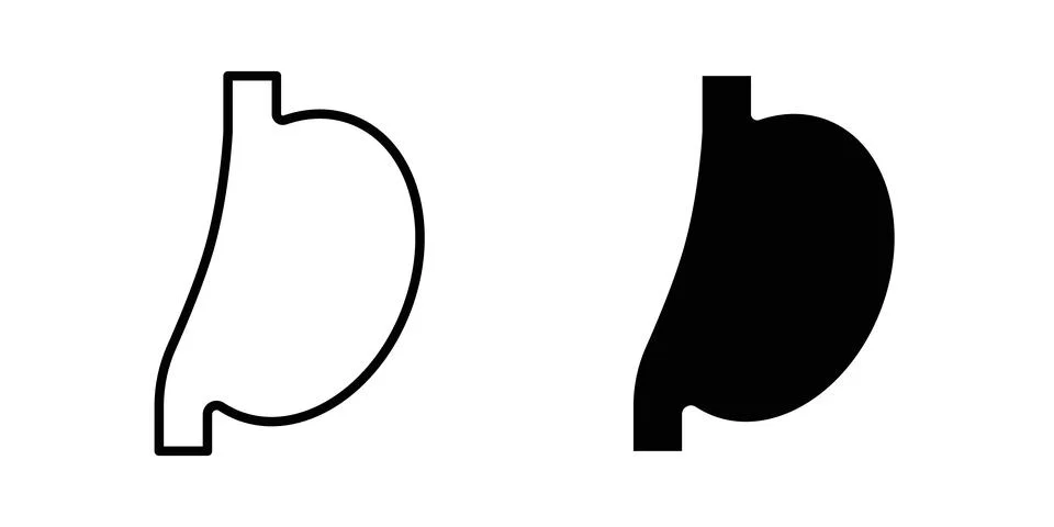 Stomach icon solid, line, and editable vector set. Stock Illustration