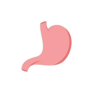 Stomach logo icon Stockillustratie