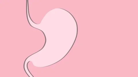 Stomach loop animation in pink colors Stock-Footage 138067770