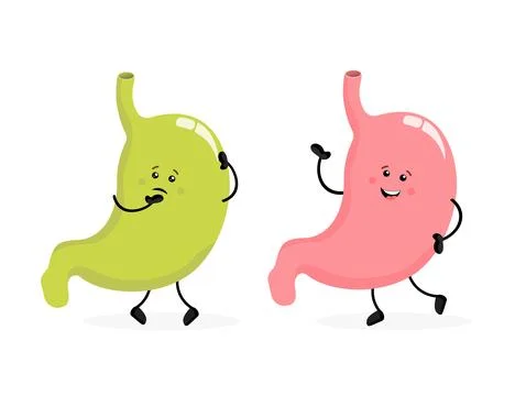 Stomach organ. Flat cartoon vector illustration. Health care concept. Isolated Stock Illustration