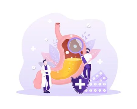 Stomach organ. Flat cartoon vector illustration. Health care concept. Isolated Stockillustratie