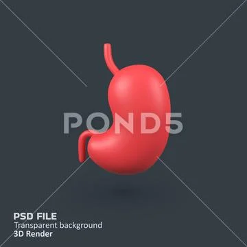 Stomach Organ isolated 3d render icon illustration PSD Template