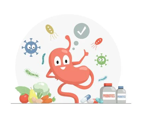 Stomach thumbs up vector flat cartoon illustration. Vitamins, supplements, and Stock Illustration