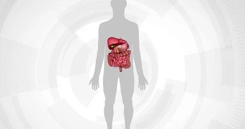 Stomach ulcer Stock Footage 71488115