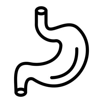 Stomach Vector Icon Design Illustration Stock Illustration