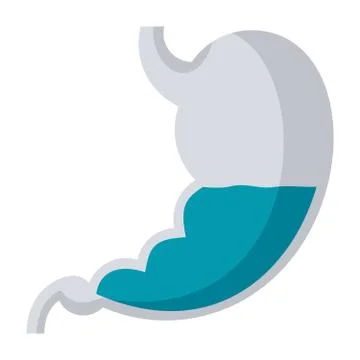 Stomach Vector Icon Illustrazione stock