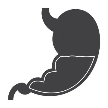Stomach Vector Icon Stock Illustration