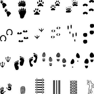 Stomp, Car Track, Paws, Collection, Logo, Icon Stock Illustration