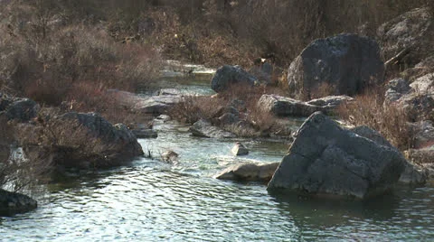 Ston in the River Stock-Footage 23363622