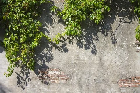 Stone-938732 Stock Photos