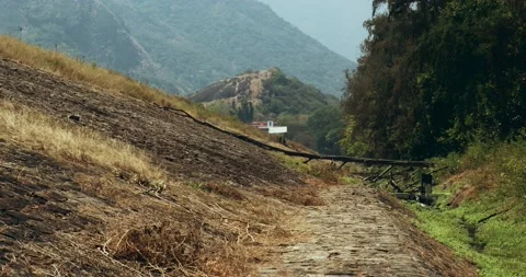 Stone abutment of a dam with a fallen tree in the foreground 스톡 동영상 189404948