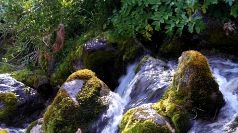 Stone and creek. Stock Footage 40414532