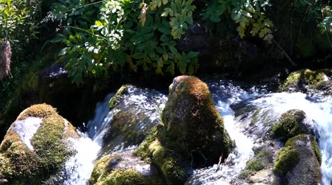 Stone and creek. Stock Footage 40414976