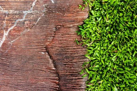 Stone and grass background Stock Photos