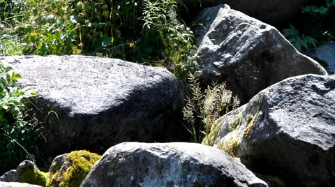 Stone and grass. Stock Footage 40431575