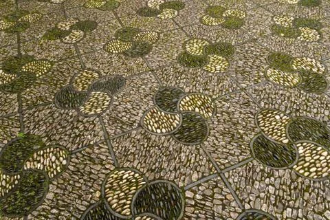 Stone and Grass pattern on floor Fotos Stock