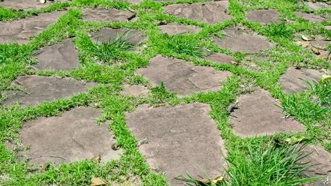 Stone and grass Stock Photos