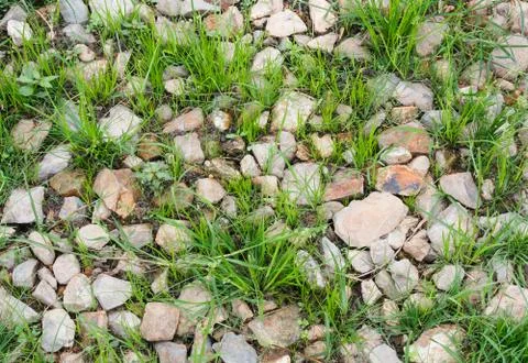 Stone and grass. Stock Photos