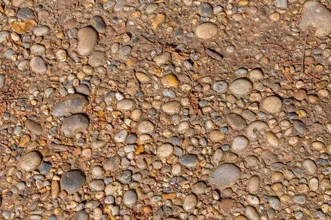 Stone and pebbles making up a path in woodland Stock Photos