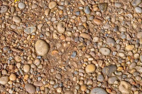 Stone and pebbles making up a path in woodland Stock Photos