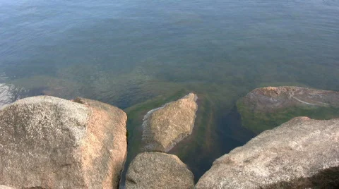 Stone and ripples Video stock 455955
