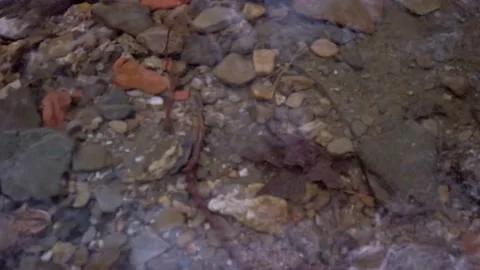 Stone and rocks under the tream flowing clear water Stock Footage 159968397