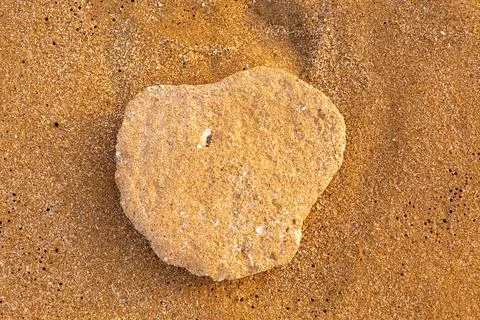 Stone and sand shells scattered on the beach 스톡 사진